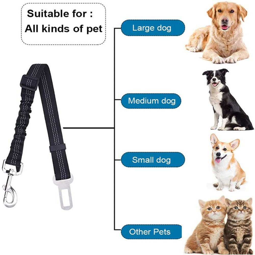 Dog Seat Belt