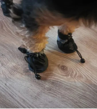 Waterproof Pet Shoes