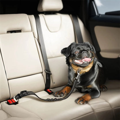 Dog Seat Belt