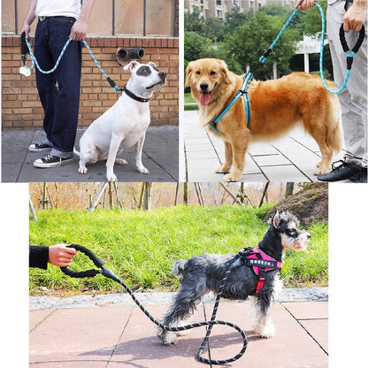 Dog Leashes