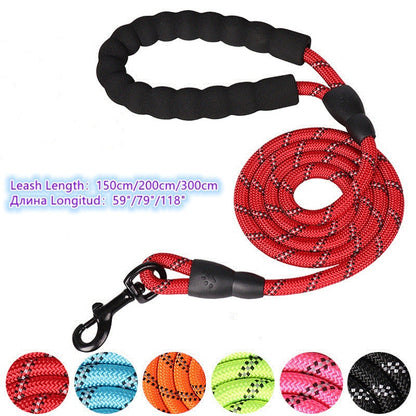 Dog Leashes