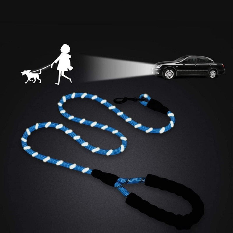 Dog Leashes